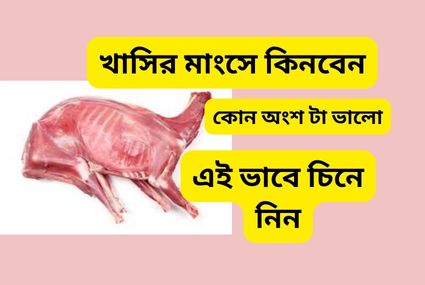 best quality mutton meat selection - khobortobor.com