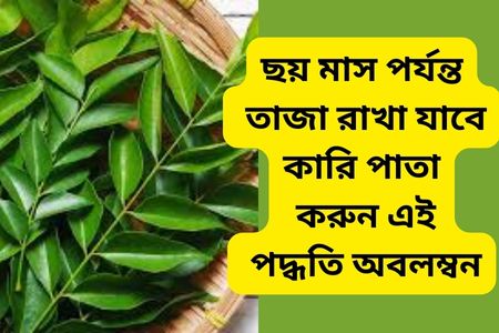 fresh Curry leaves - khobortobor.com